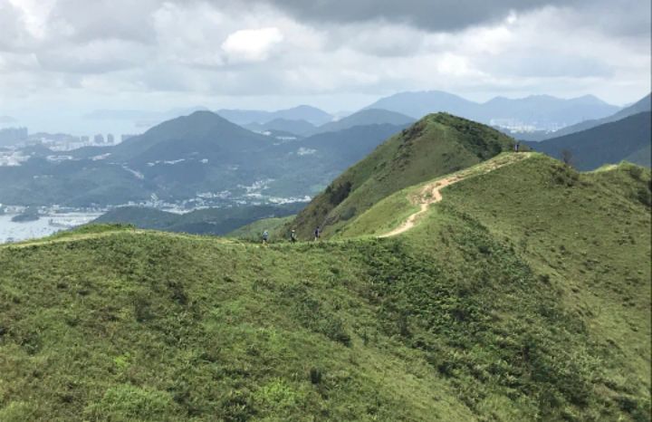 goodnovel comment avatar