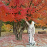goodnovel comment avatar