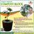 goodnovel comment avatar