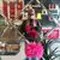 Siska Afia