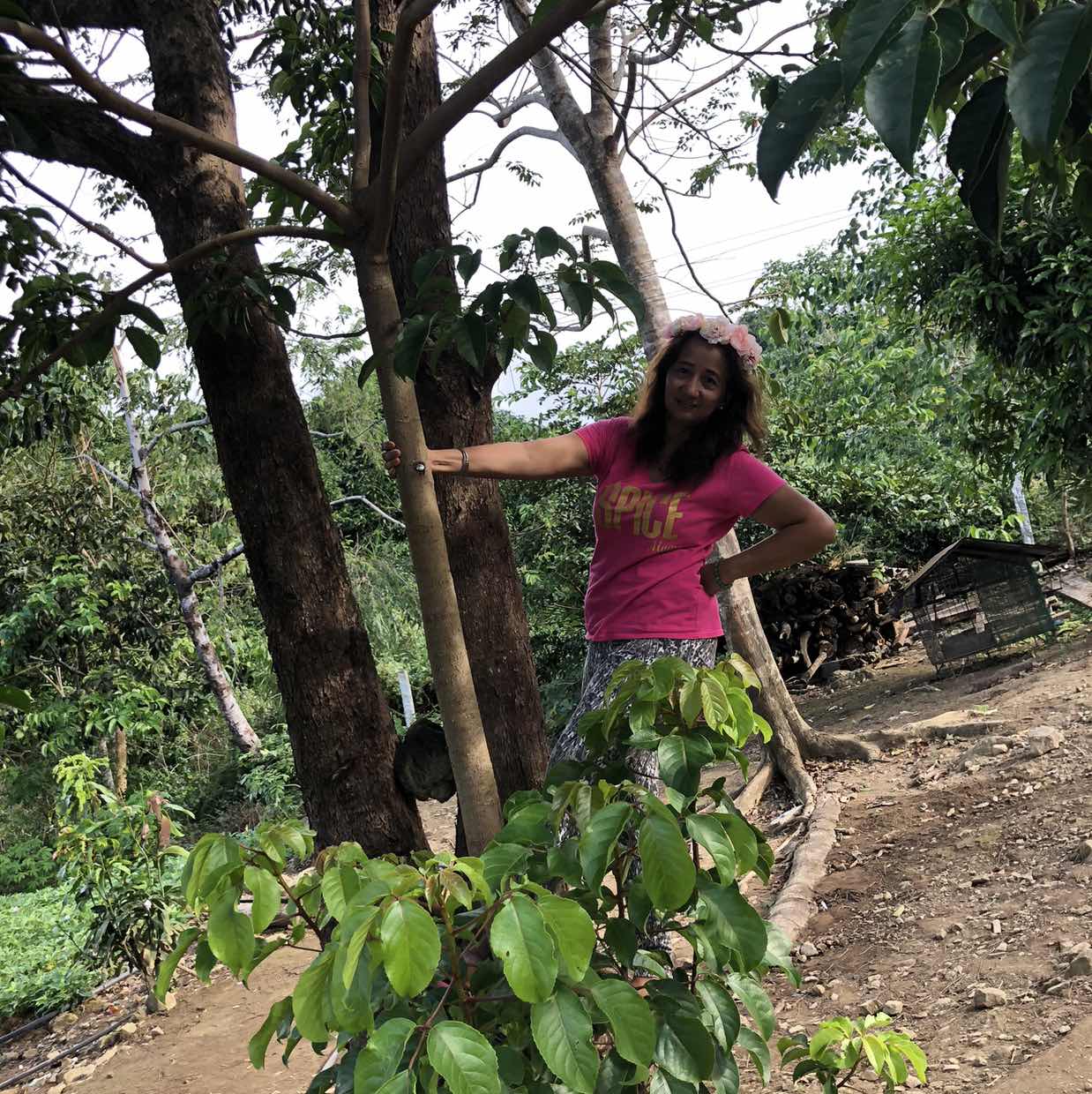 goodnovel comment avatar