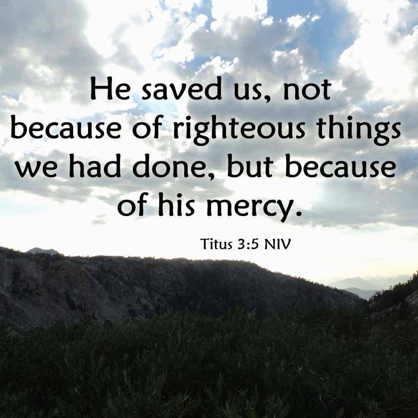 Author Elena Brivelle 