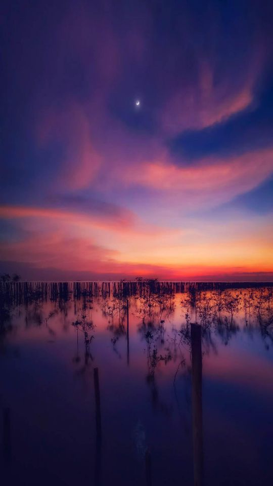 goodnovel comment avatar