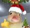 potatohead