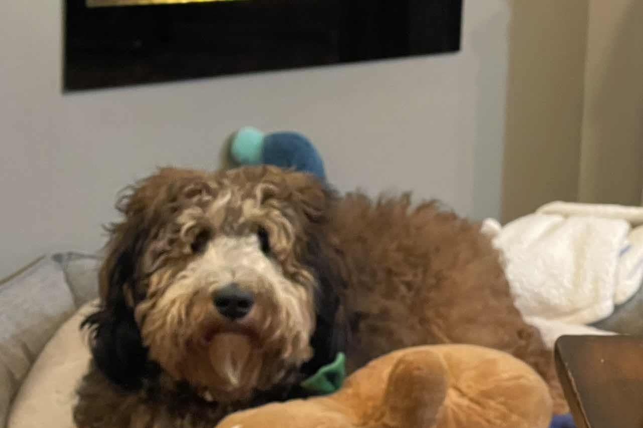 goodnovel comment avatar