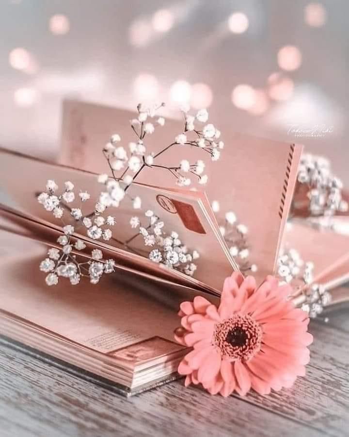 Aleena Marsainta Sunting 