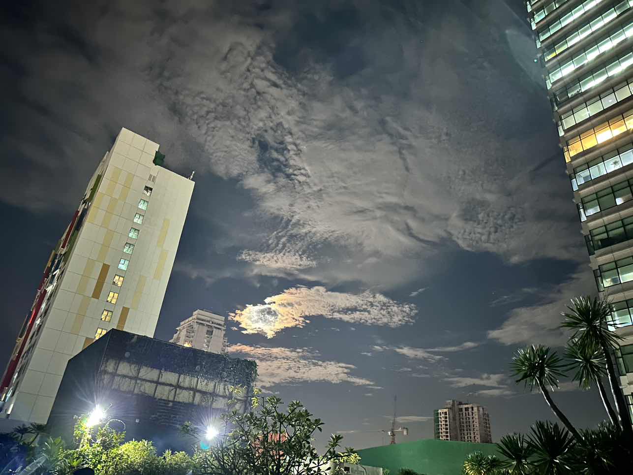 goodnovel comment avatar