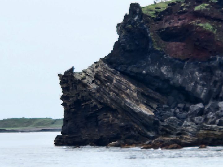 goodnovel comment avatar