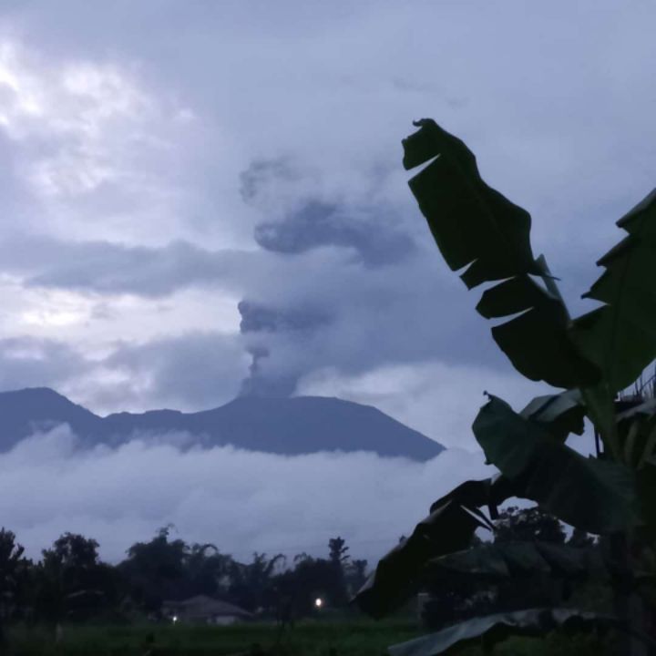 goodnovel comment avatar