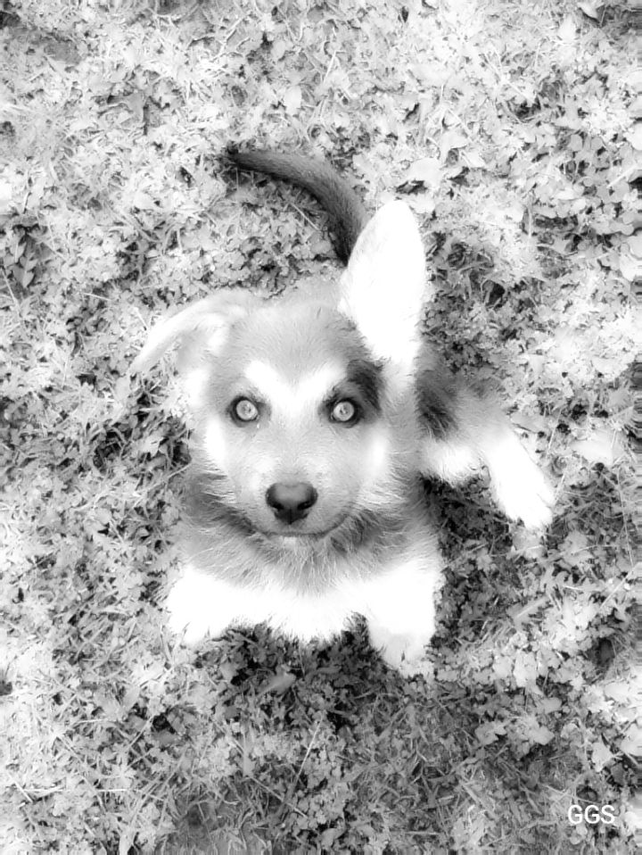 goodnovel comment avatar