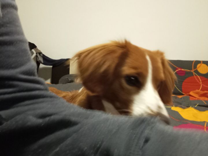 goodnovel comment avatar