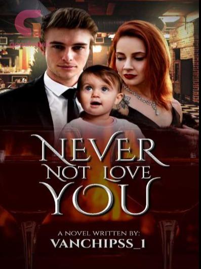 Never Not Love You ENGLISH VERSION PDF Novel Online by