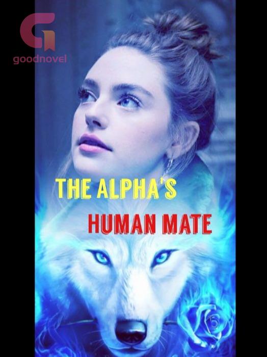 The Alpha's human mate PDF & Novel Online by Rinna Judith to Read for ...